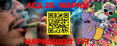 альфа пвп Аргун