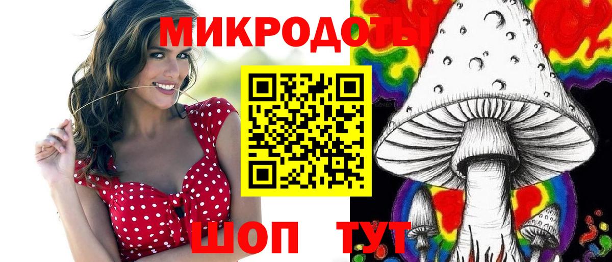 Галлюциногенные грибы Psilocybine cubensis Асино