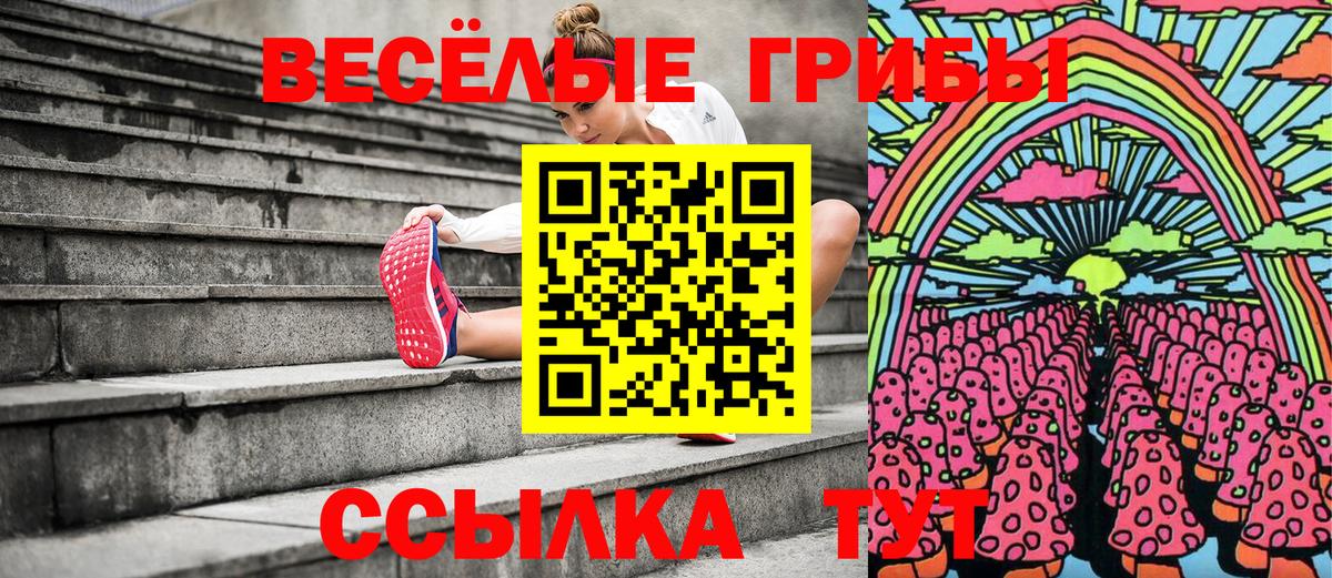наркота  Псилоцибиновые грибы GOLDEN TEACHER  Вход с VPN  Асино 